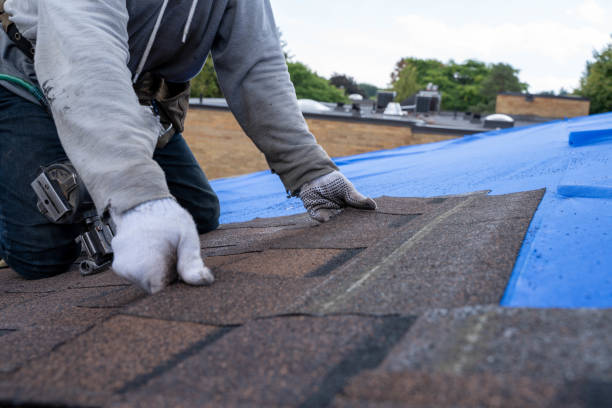 Roof Waterproofing Services in Grand Haven, MI